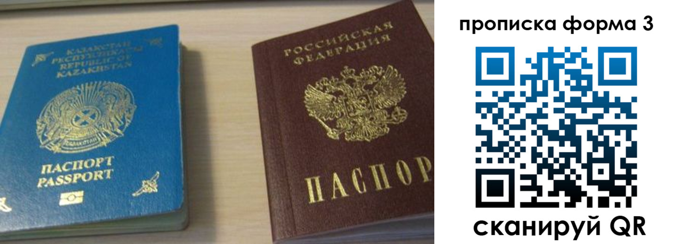 прописка от собственника в Сольцах