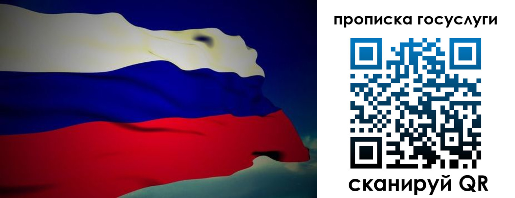 прописка регистрация в Сольцах