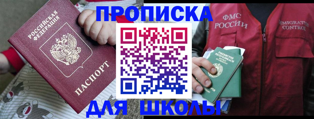 форма 3 в Сольцах